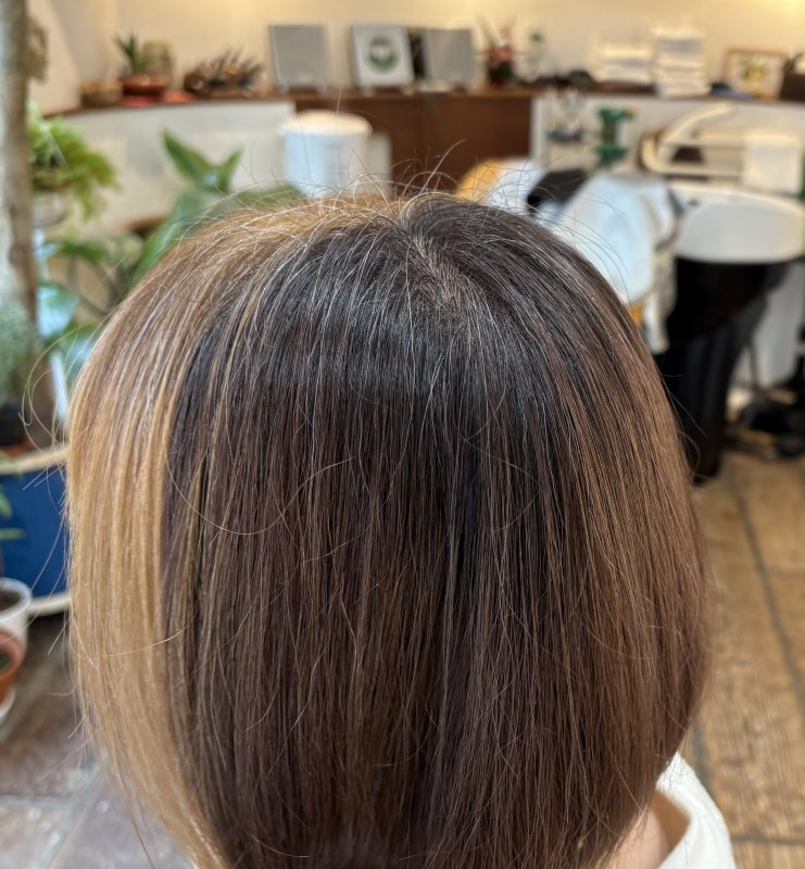 メッシュ