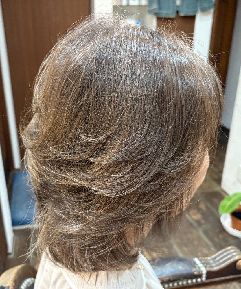 hair chip clip